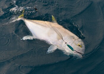 Comment: No one owns the water mate